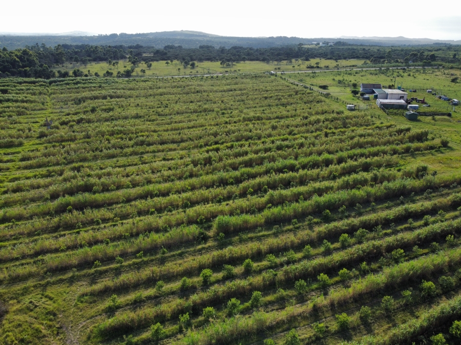 3 Bedroom Property for Sale in Kidds Beach Eastern Cape